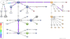 Network grafo-rete-ateneo.png